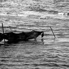 Fischfang an der Ostsee