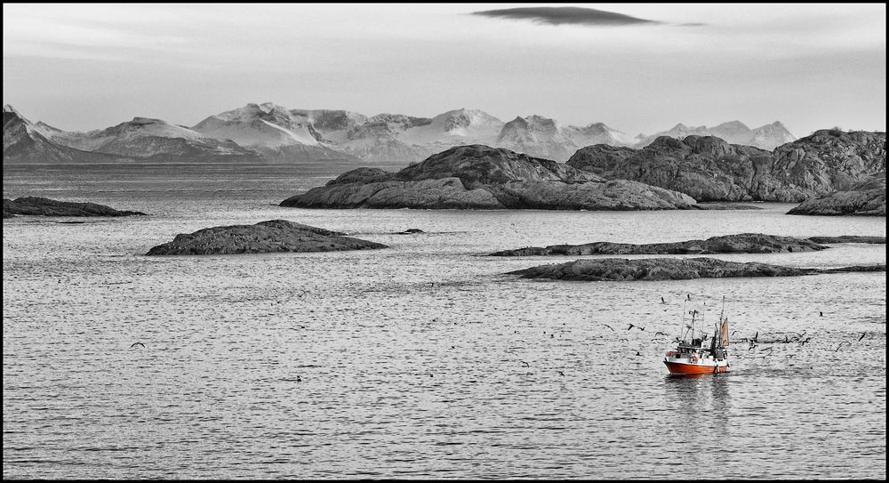 Fischfang auf den Lofoten