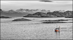 Fischfang auf den Lofoten