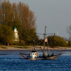 Fischfang auf der Weser