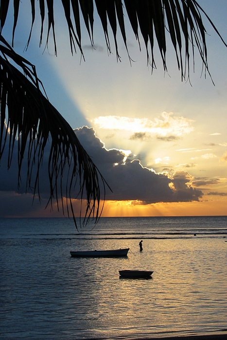 Fischfang auf Mauritius