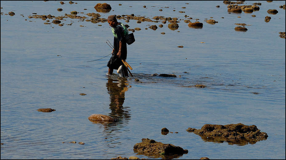 Fischfang bei Ebbe