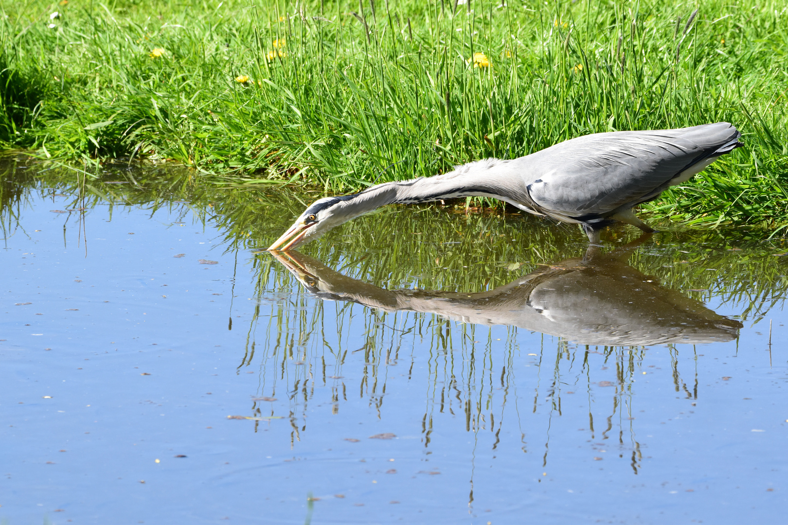 Fischfang (die zweite)