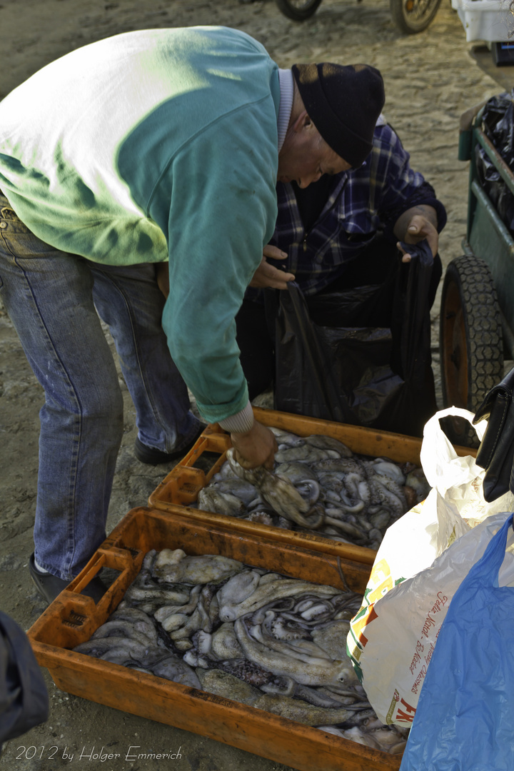 Fischfang und verkauf in Nord-Portugal 3