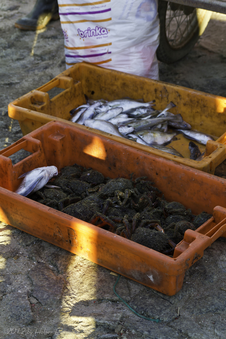 Fischfang und verkauf in Nord-Portugal 5