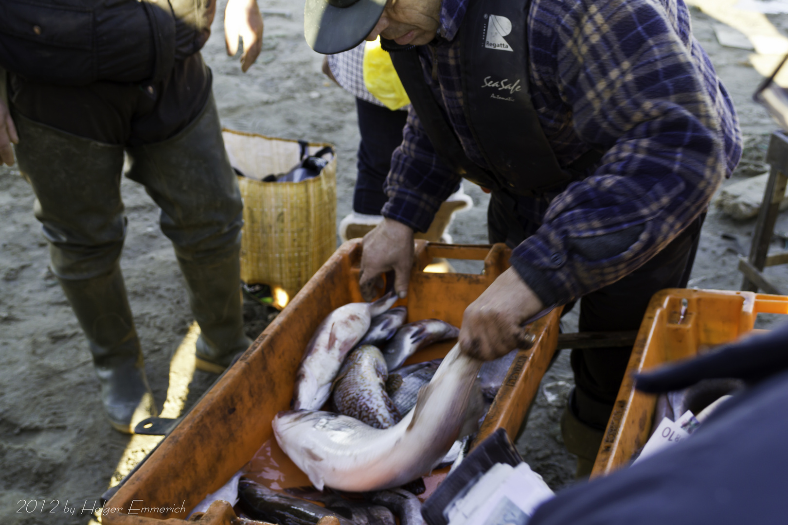 Fischfang und verkauf in Nord-Portugal 9