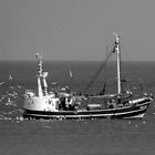 Fischfang vor Norderney