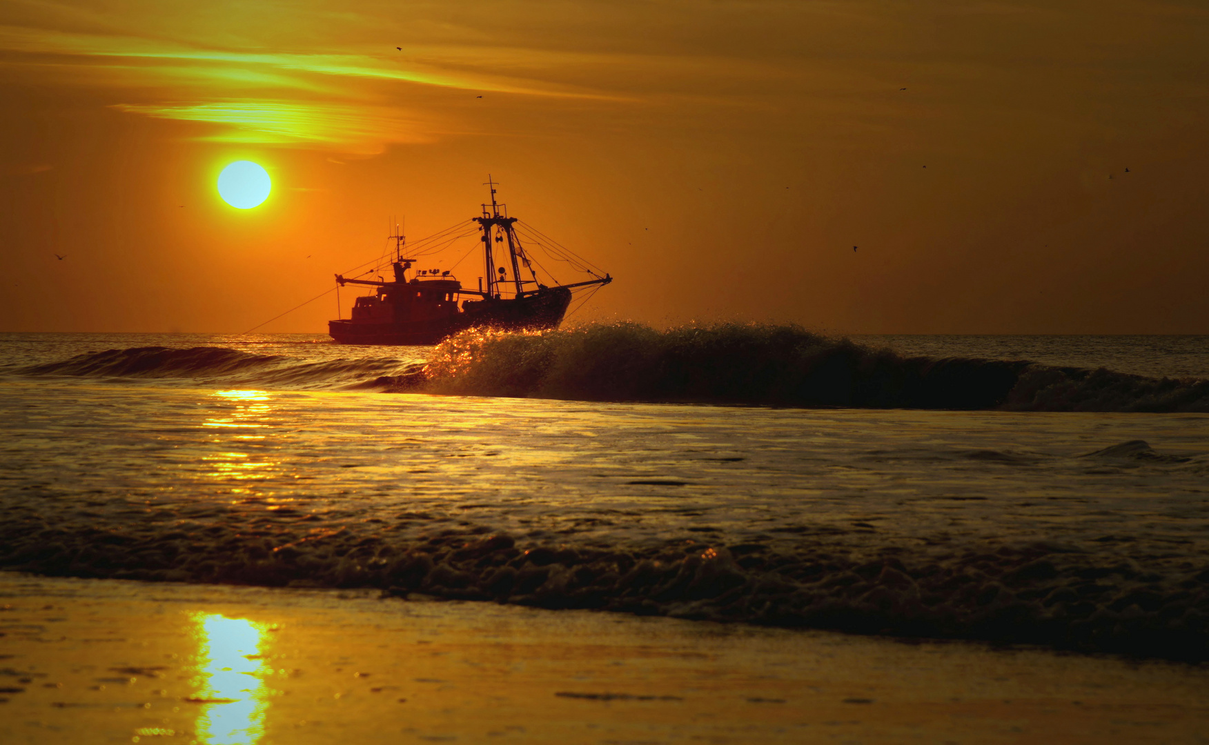 Fischfang vor Sonnenuntergang.....