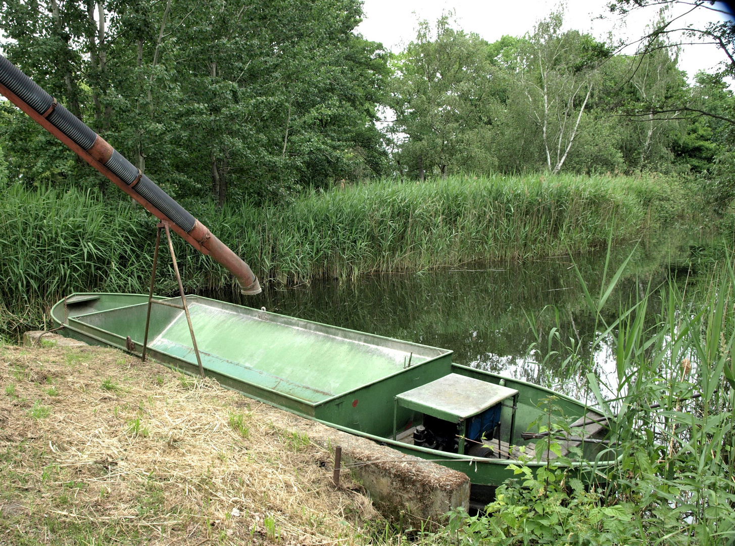 Fischfütterung