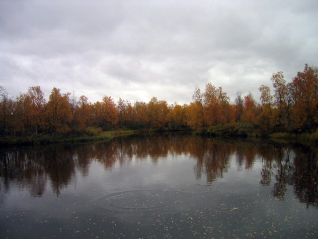 Fischgewaesser ? - Mystic -