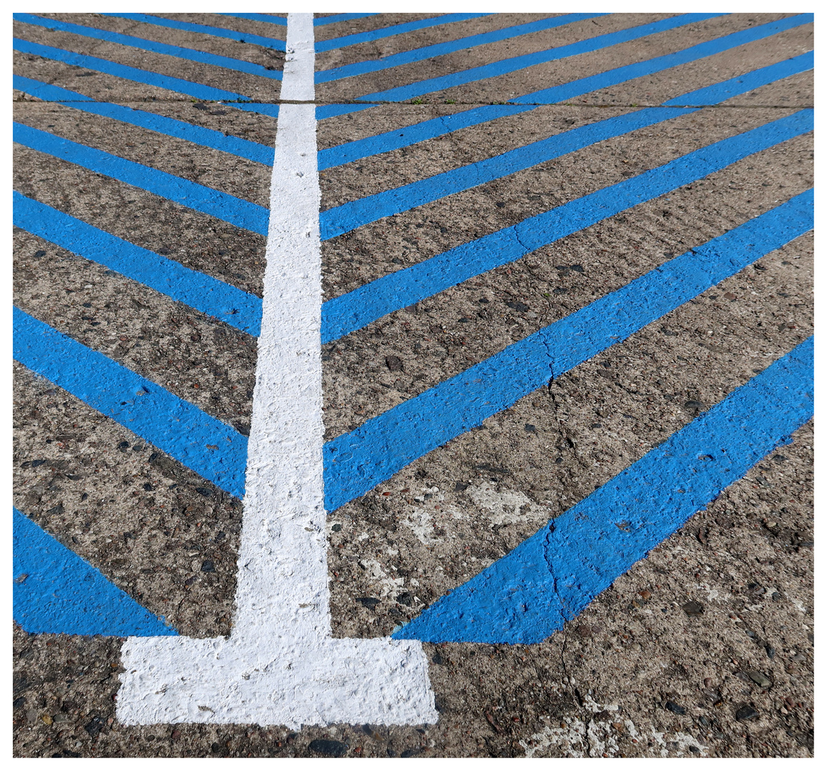 Fischgräte auf Asphalt