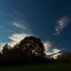 Fischgräten-Wolke?!