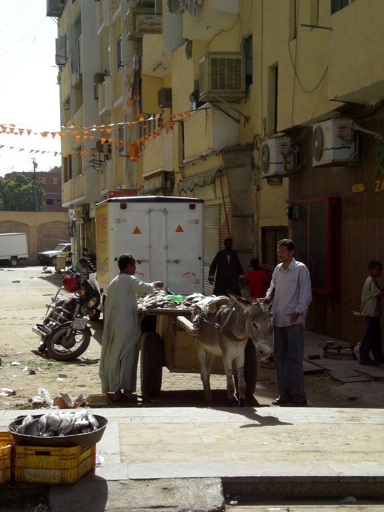 Fischhändler in Aswan