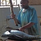 Fischhändler in  Zanzibar
