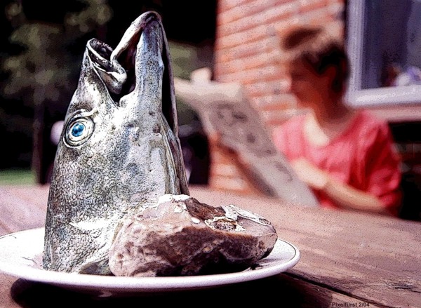 Fischkopf mit Zeitung lesender Köchin