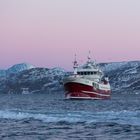 Fischkutter im Fjord auf Senja