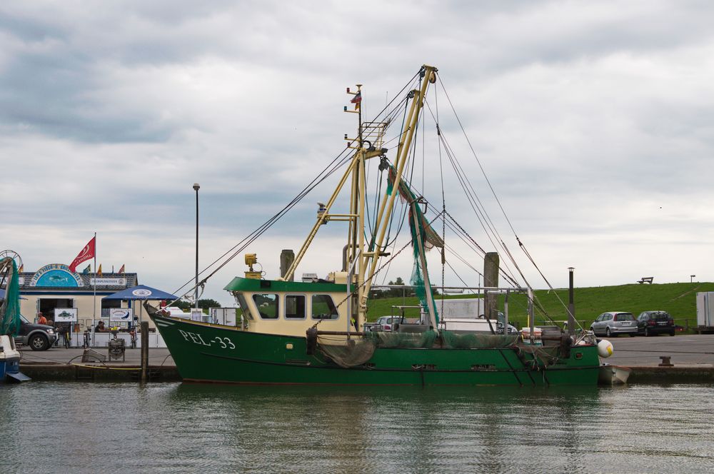 Fischkutter im Hafen Pellworm