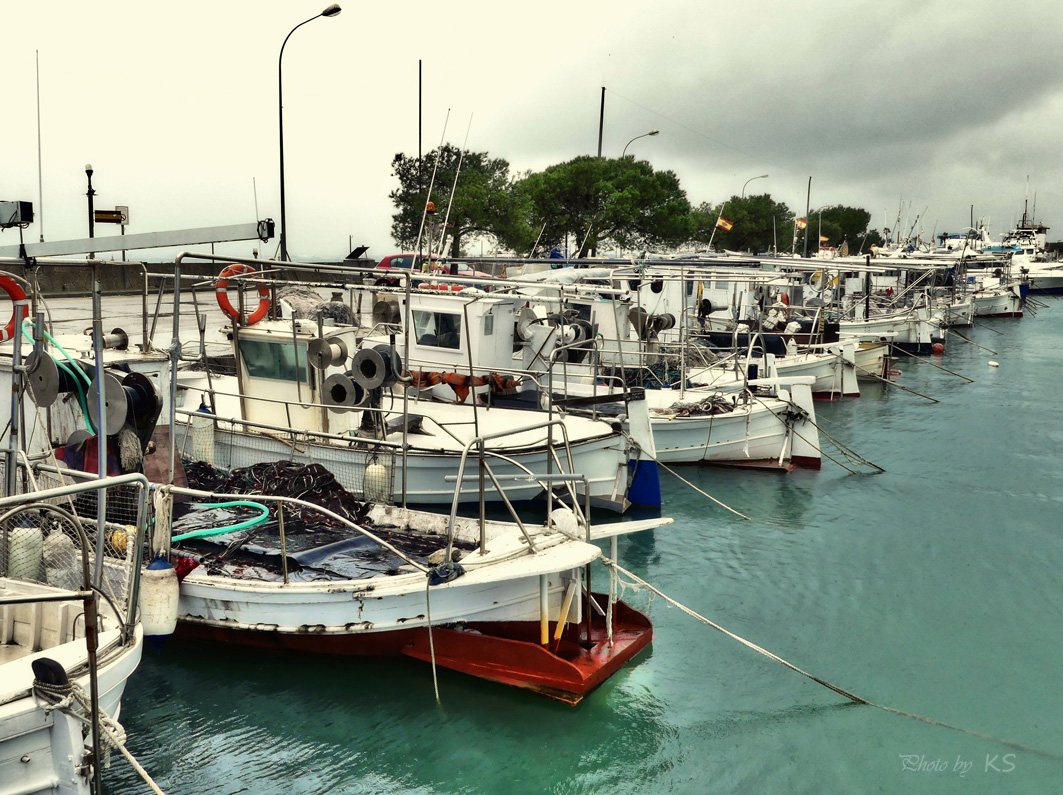 - Fischkutter im Hafen von Alcudia -