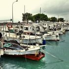 - Fischkutter im Hafen von Alcudia -