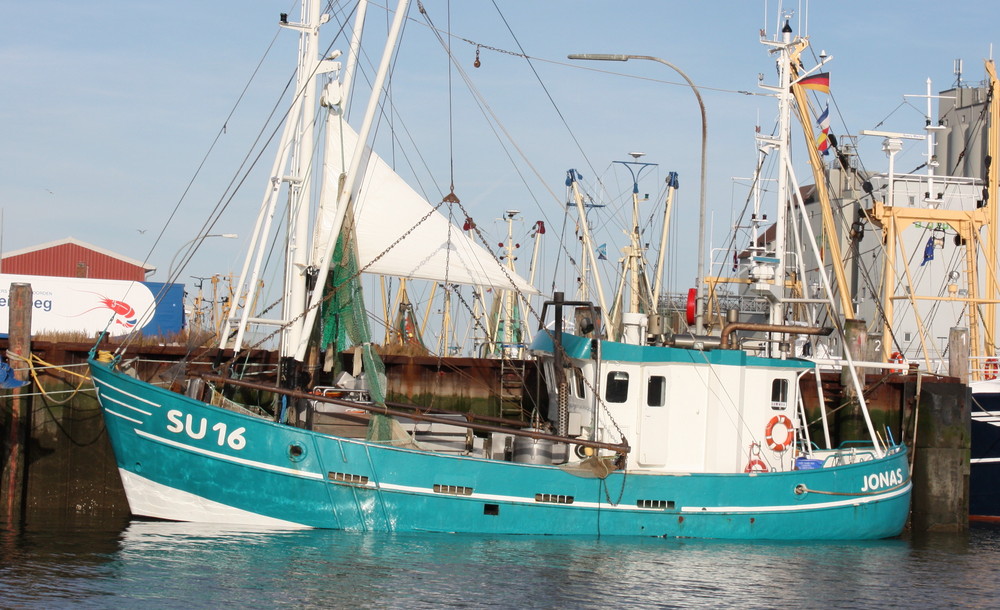 Fischkutter im Hafen von Büsum