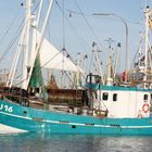 Fischkutter im Hafen von Büsum