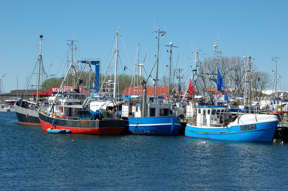 Fischkutter im Hafen von Burg auf Fehmarn.