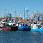 Fischkutter im Hafen von Burg auf Fehmarn.