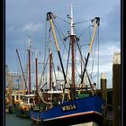 Fischkutter im Hafen von Den Helder