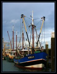 Fischkutter im Hafen von Den Helder