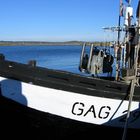 Fischkutter im Hafen von Gager/Rügen