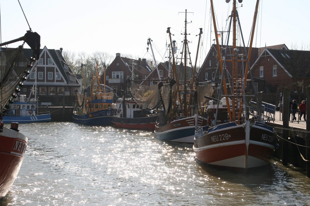 Fischkutter im Hafen von Neuharlingersiel