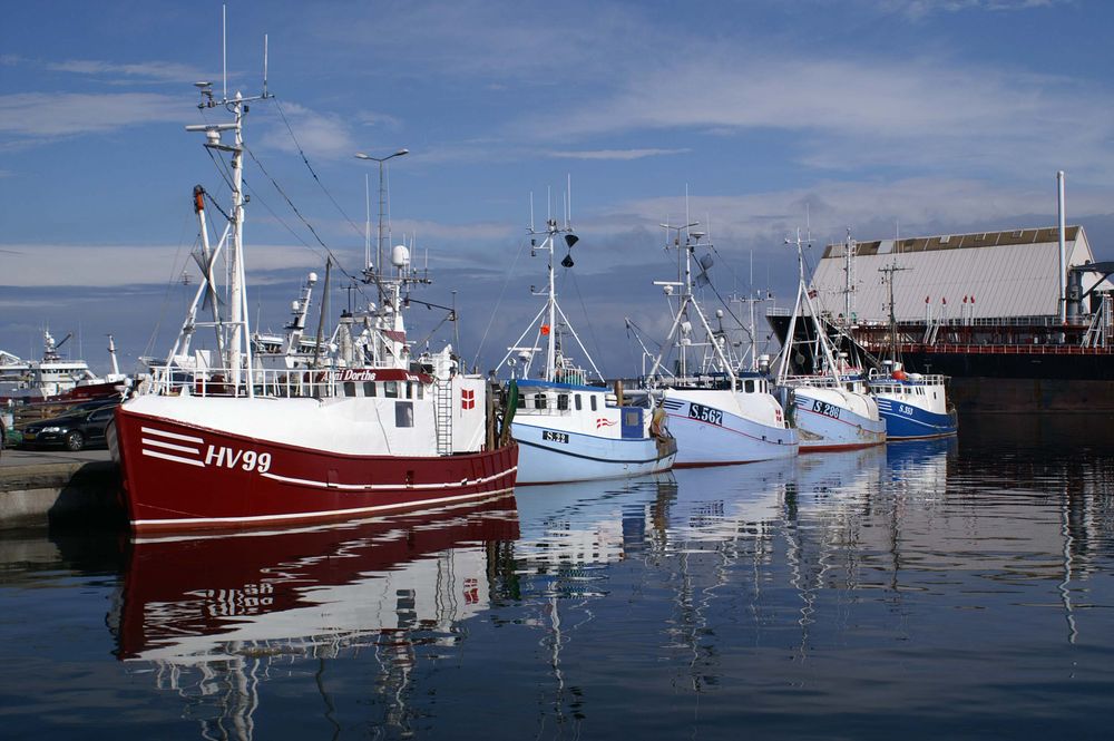 Fischkutter im Hafen von Skagen