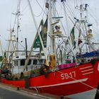 Fischkutter im Tönningerhafen (Schleswig/Holstein)