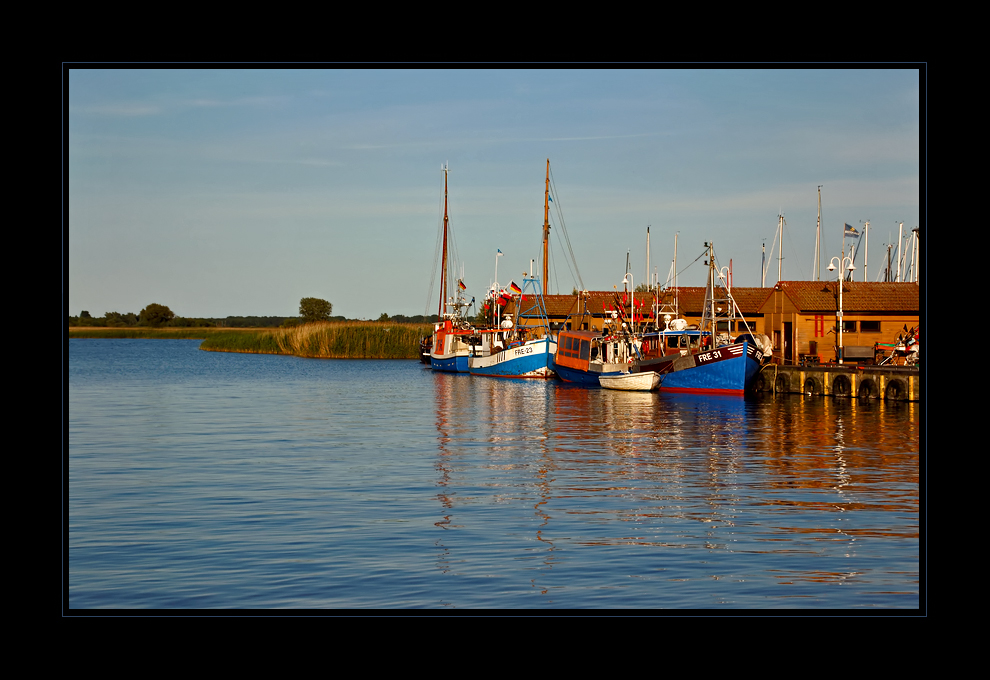 Fischkutter in Freest...