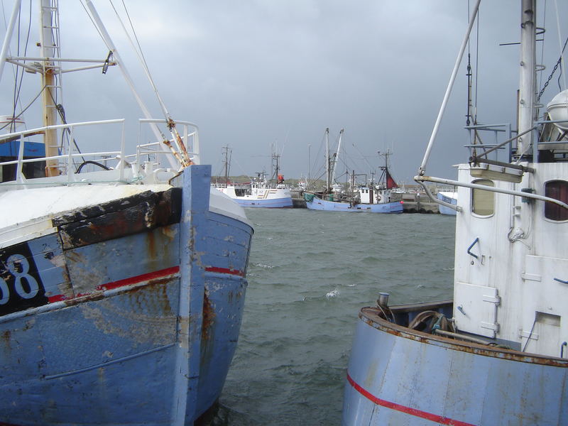 Fischkutter in Hvide Sande