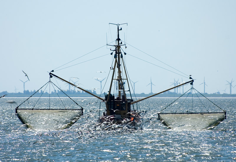 Fischkutter Langeoog