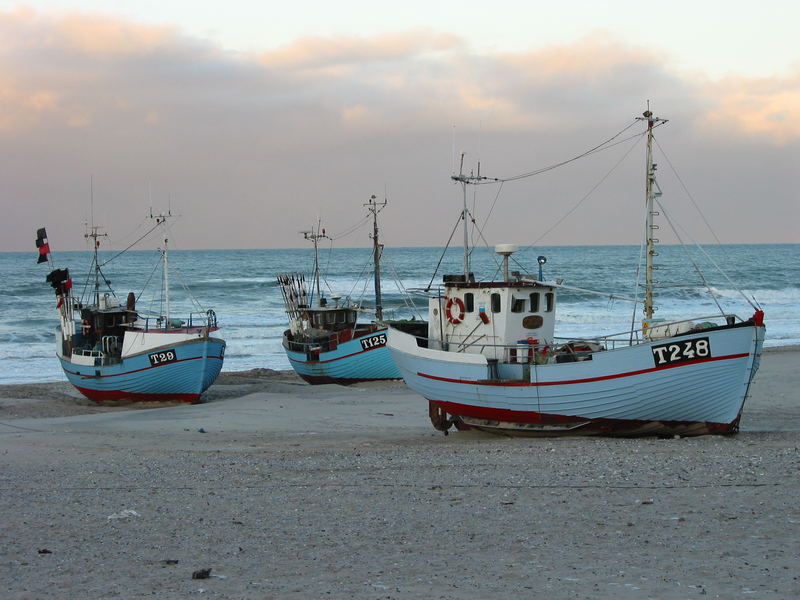 Fischkutter ohne Hafen