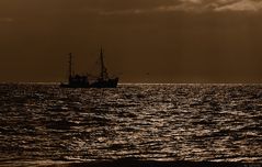 Fischkutter vor Amrum