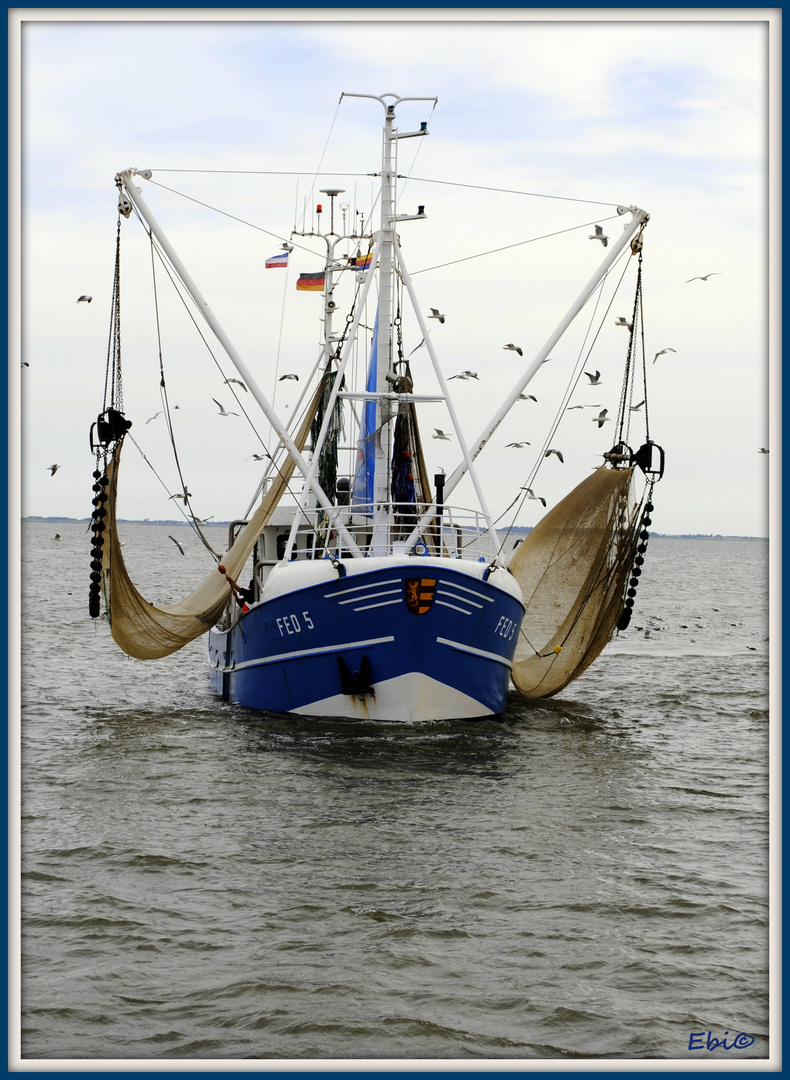 Fischkutter vor Amrum