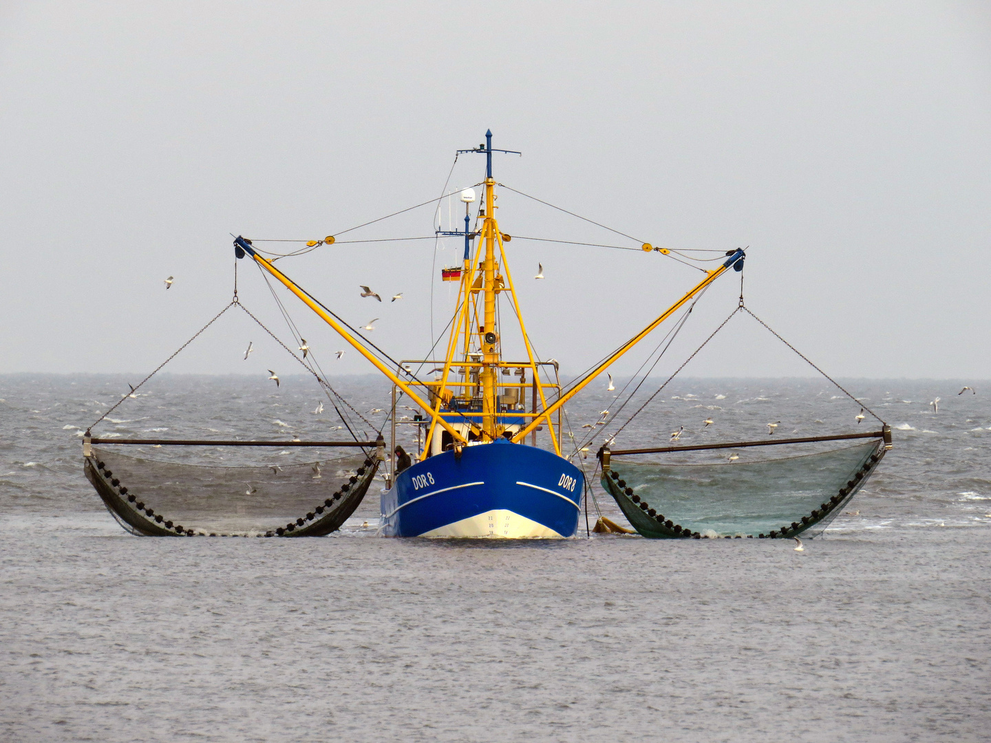 Fischkutter vor  Grimmershörn