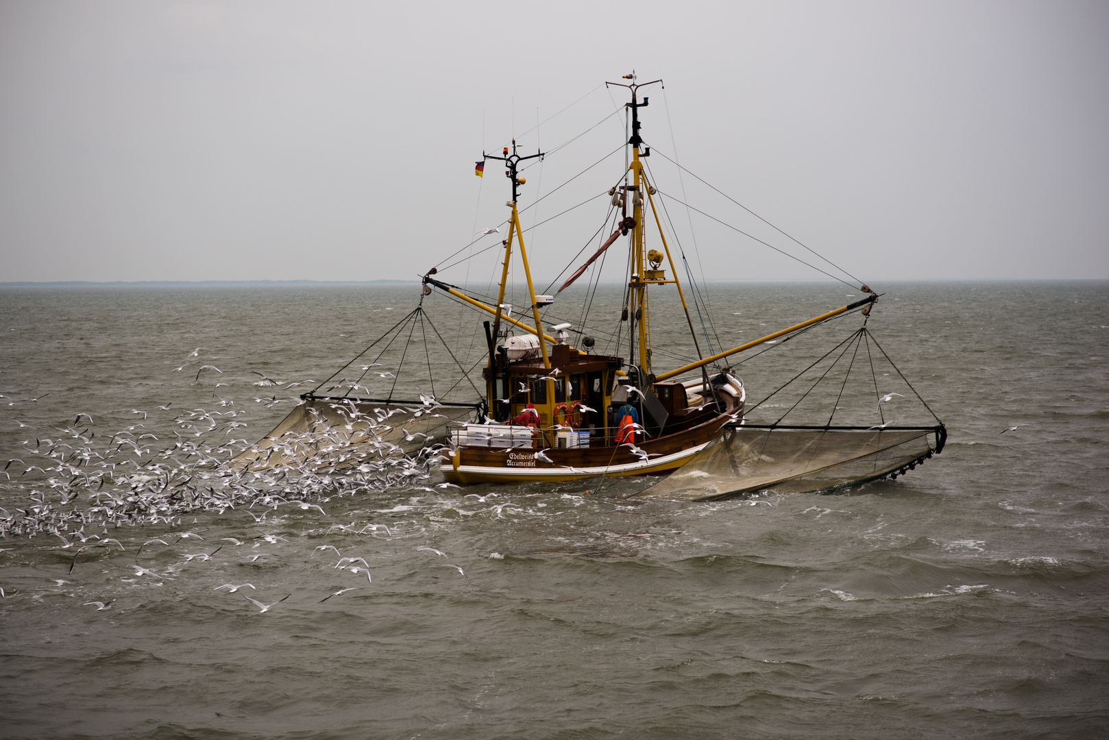 Fischkutter vor Langeoog