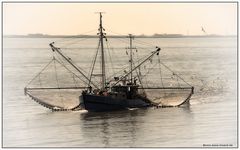 Fischkutter vor Norderney