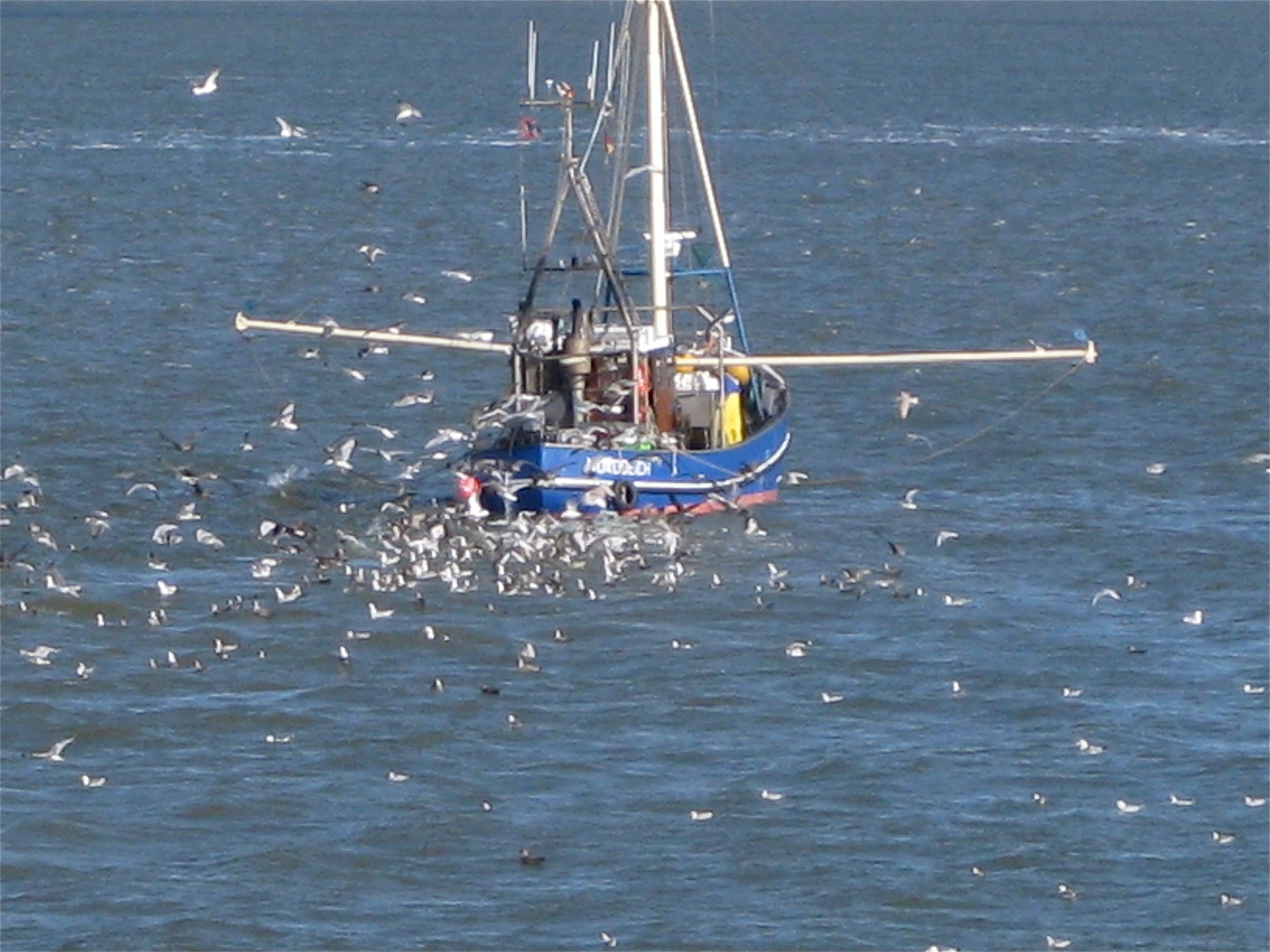 Fischkutter vor Norderney