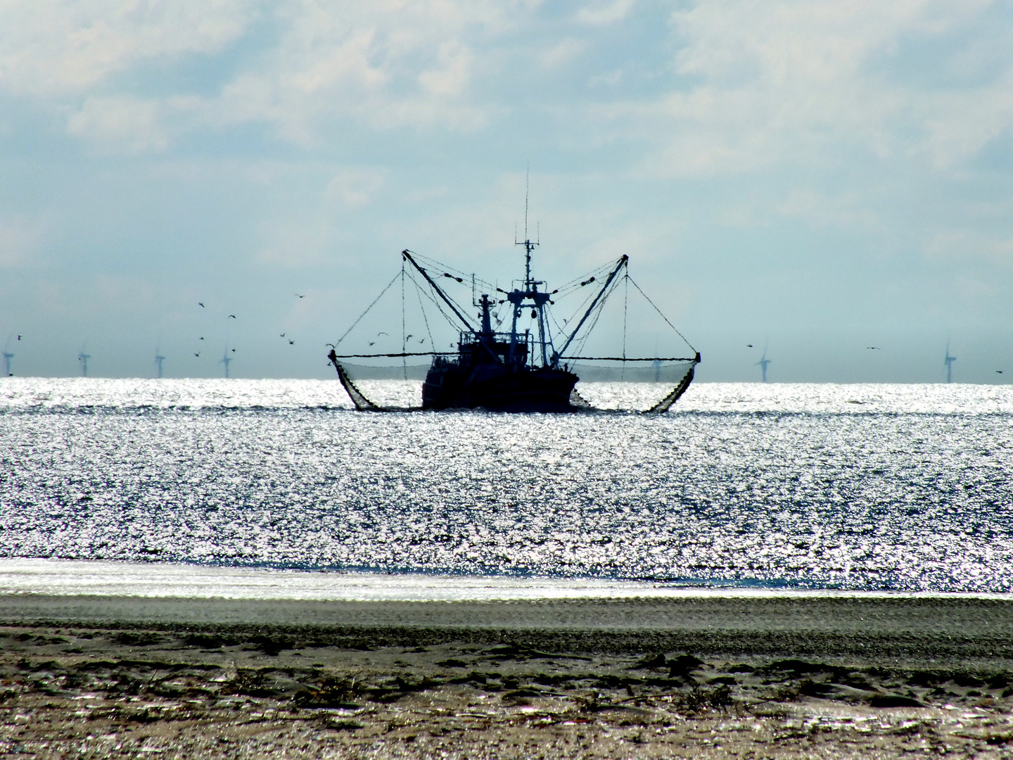 Fischkutter vor RØMØ im Gegenlicht