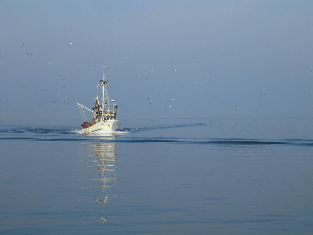 Fischkutter vor Rovinj