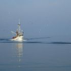 Fischkutter vor Rovinj