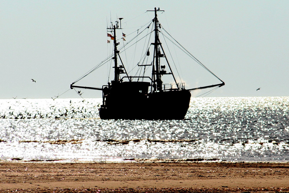 Fischkutter vor St. Peter