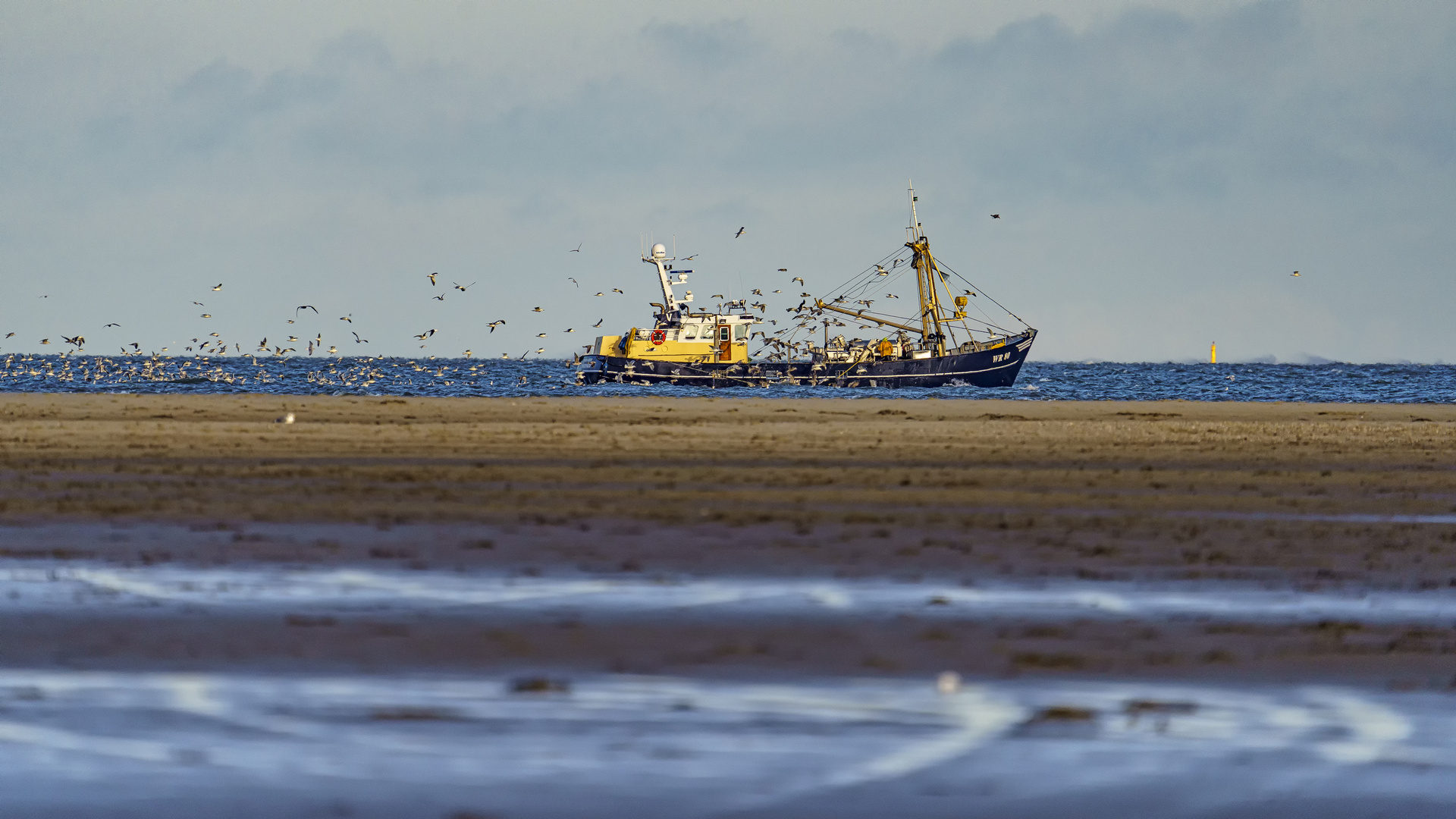 Fischkutter vor Texel, 2019.11.12.