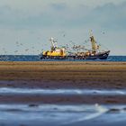 Fischkutter vor Texel, 2019.11.12.