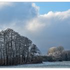 Fischländer Dezemberlandschaft